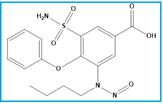 BUMETANIDE NITROSO IMPURITY 